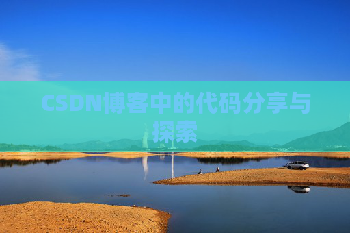 CSDN博客中的代码分享与探索
